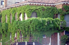 Hanging Garden On A House